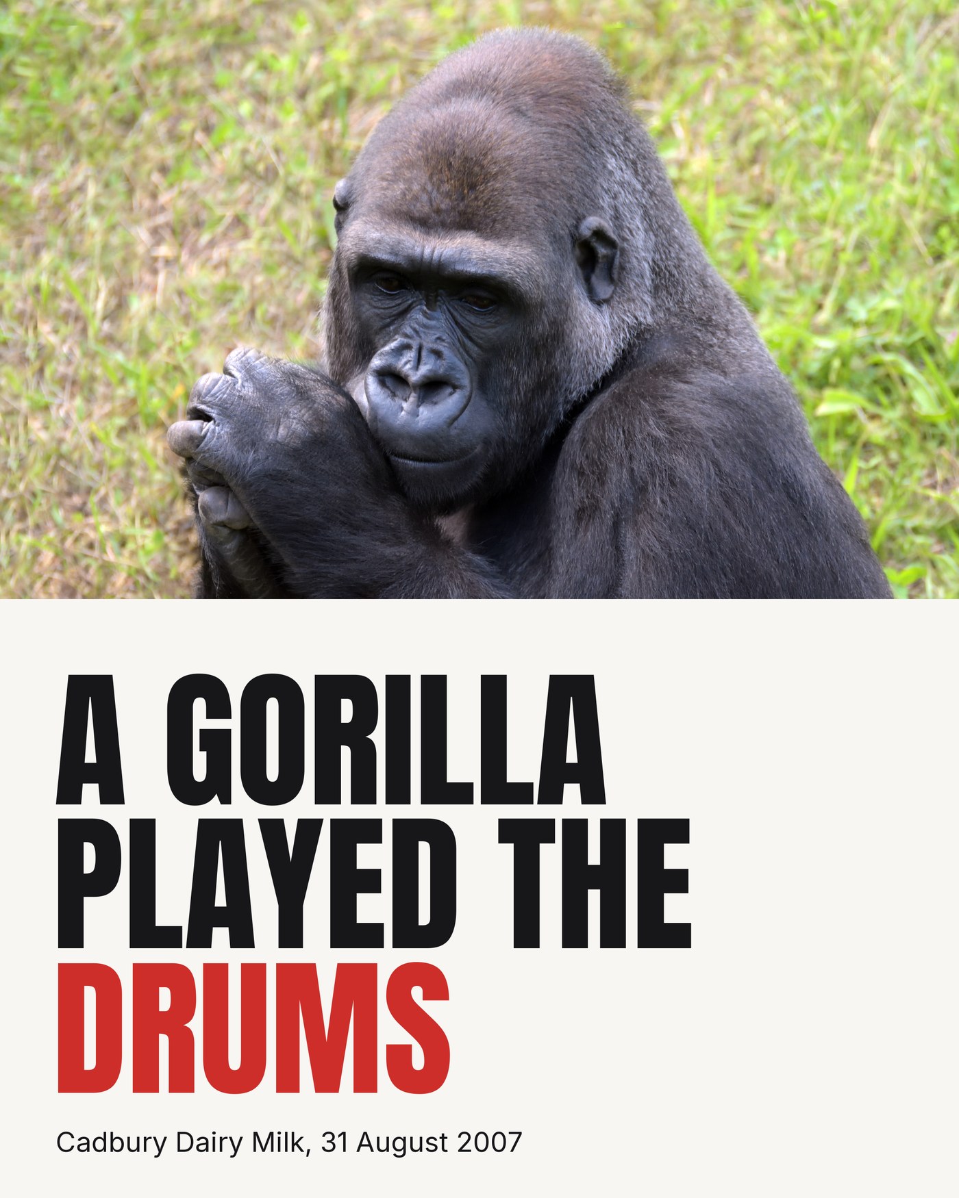 A gorilla played the drums, Cadbury Dairy Milk, 31 August 2007