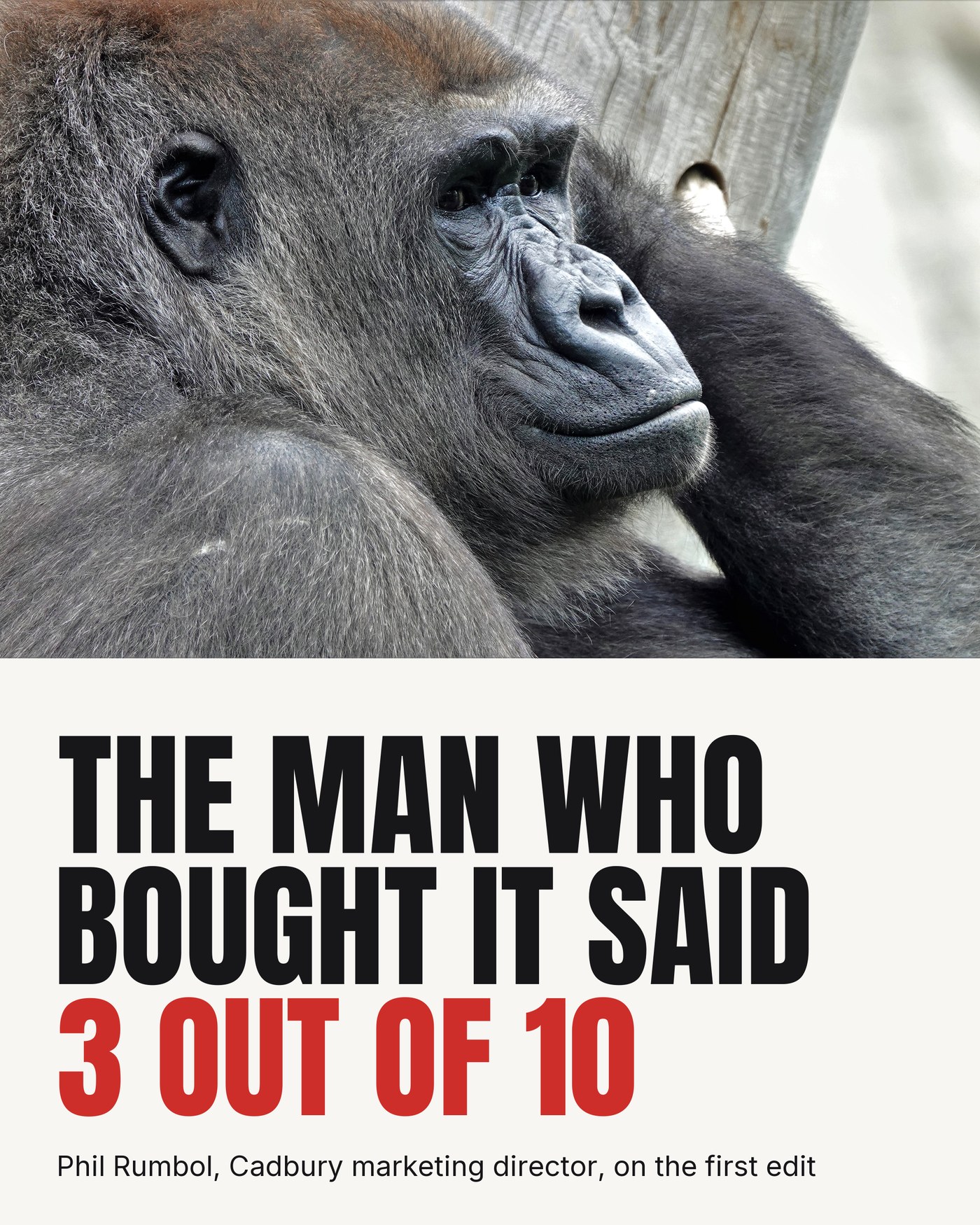 The man who bought it said 3 out of 10, Phil Rumbol on the first edit