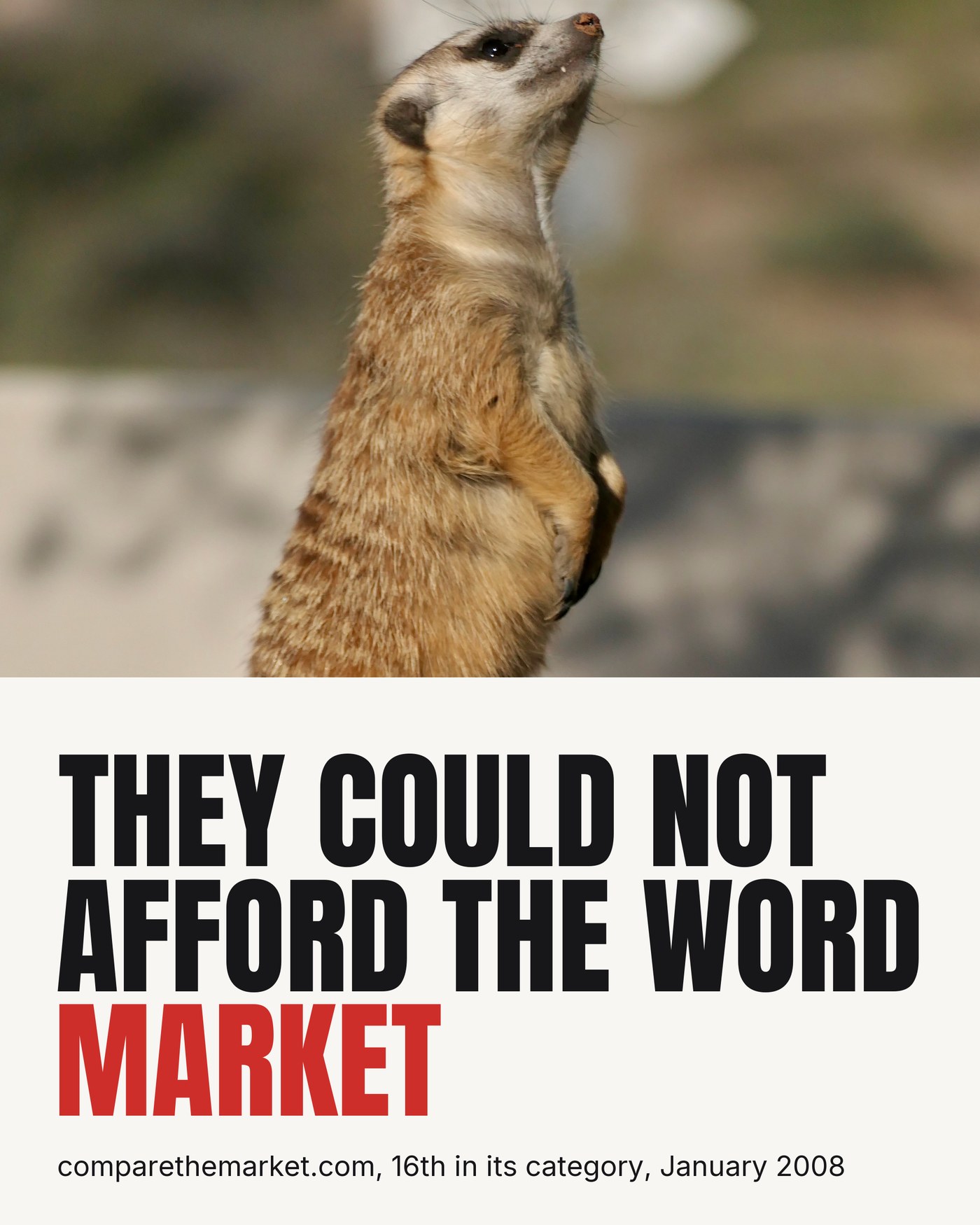 They could not afford the word market, comparethemarket.com was 16th in its category in January 2008