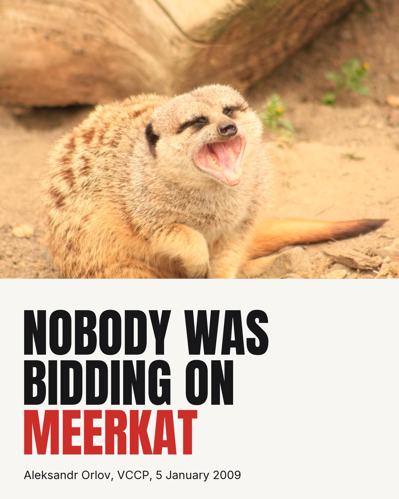 Nobody was bidding on meerkat, Aleksandr Orlov launched by VCCP on 5 January 2009