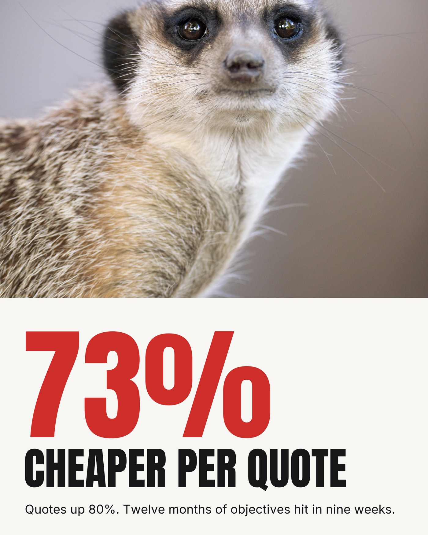 73% cheaper per quote, quotes up 80%, twelve months of objectives hit in nine weeks